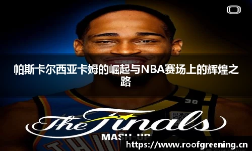 必一运动bsport体育
