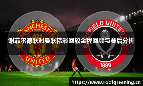 谢菲尔德联对曼联精彩回放全程回顾与赛后分析