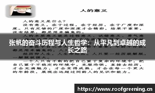 BSports官网入口