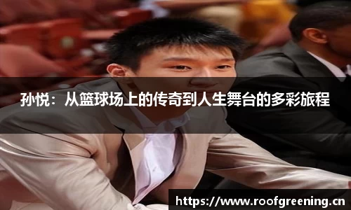 必一运动bsport体育