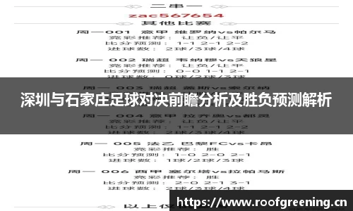 深圳与石家庄足球对决前瞻分析及胜负预测解析