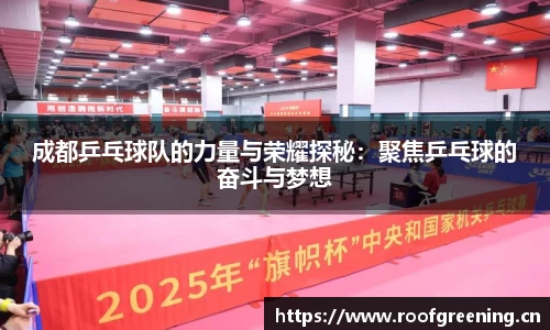 成都乒乓球队的力量与荣耀探秘：聚焦乒乓球的奋斗与梦想