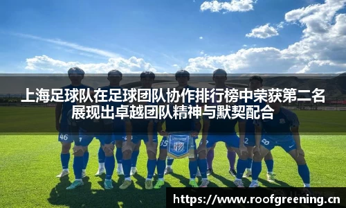 上海足球队在足球团队协作排行榜中荣获第二名展现出卓越团队精神与默契配合